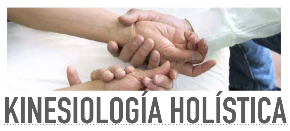 Kinesiología holística